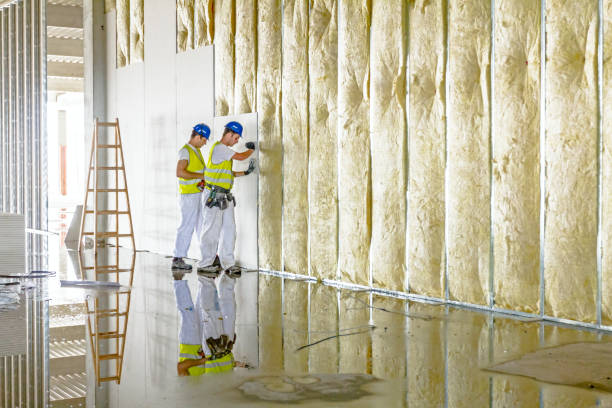 Best Local Insulation Services  in Rincon, GA